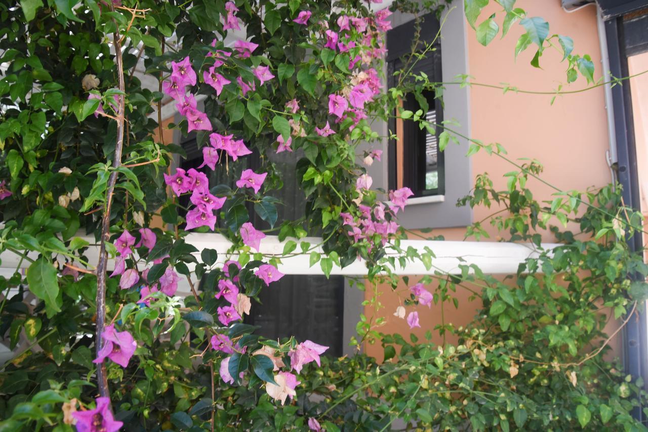 Alissachni Luxury Apartments Dhervénion Exterior foto